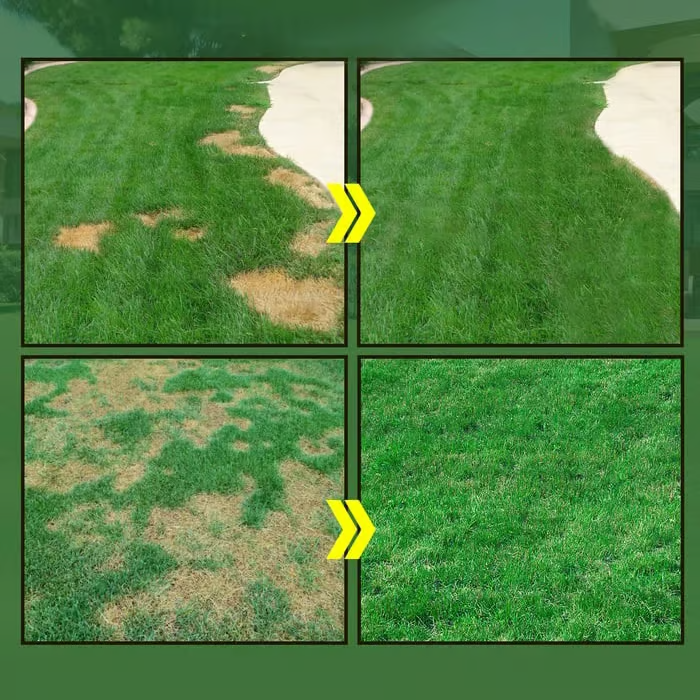 🎁Last Day 50% OFF🌱Hydro Seeding Lawn Solution