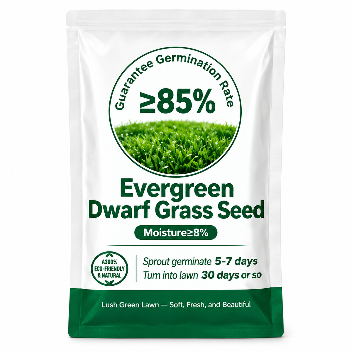 Evergreen Dwarf Grass Seed for Four Seasons