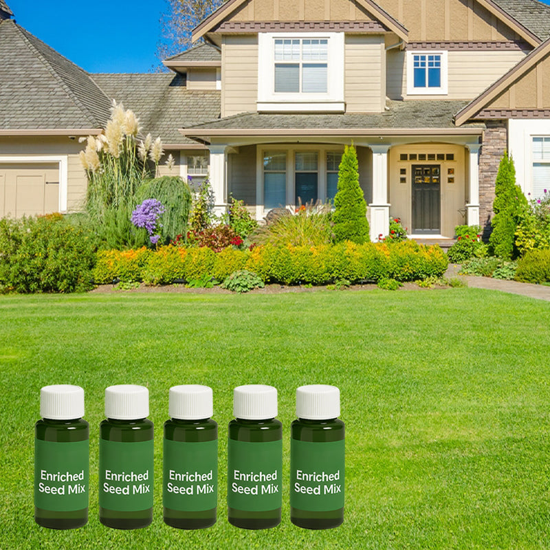 🎁Last Day 50% OFF🌱Hydro Seeding Lawn Solution
