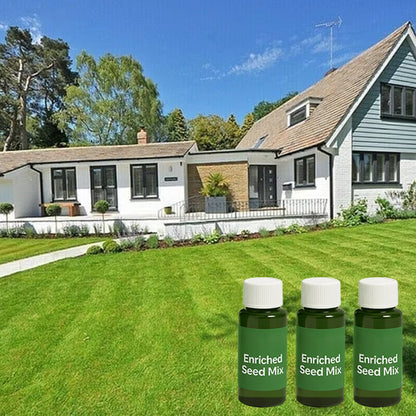 🎁Last Day 50% OFF🌱Hydro Seeding Lawn Solution