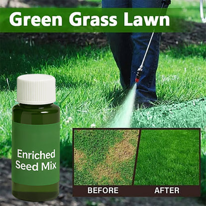 🎁Last Day 50% OFF🌱Hydro Seeding Lawn Solution