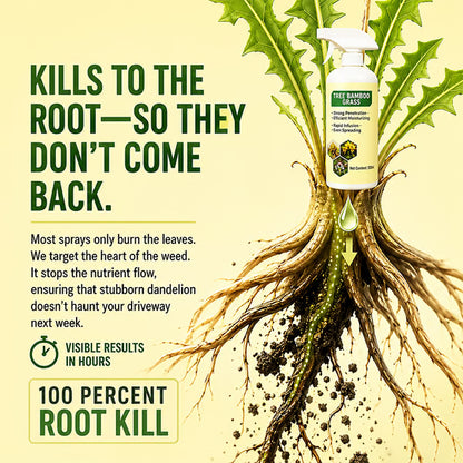 🔥2026 SALE - Fast-Acting Natural Weed & Grass Killer Spray