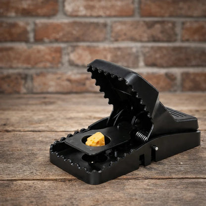 New Snap Mouse Trap