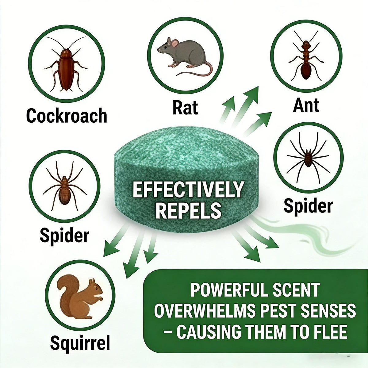 🟢 Natural Peppermint Rodent Repellent Tablets – 10 Pack